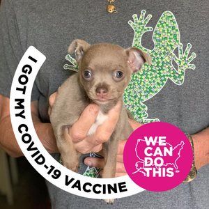 Meet your Posher, Bill